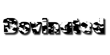 Click to make a logo like this one Bovinated
