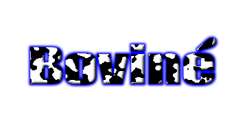 Boviné